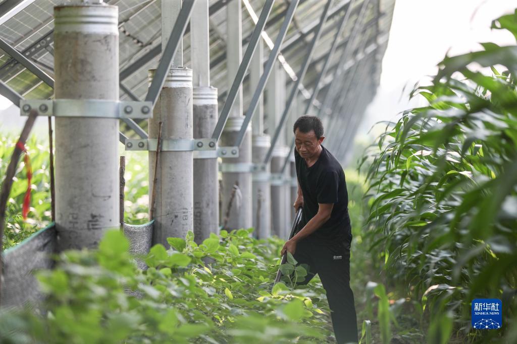 超级大满贯苹果手机版